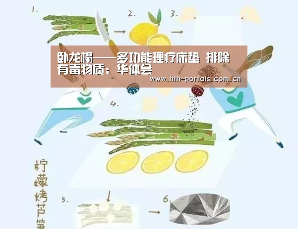 卧龙榻——多功能理疗床垫 排除有毒物质:华体会(图2) 卧龙榻——多功能理疗床垫 排除有毒物质:华体会(图2)