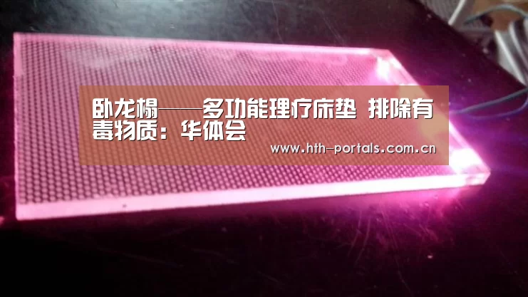 卧龙榻——多功能理疗床垫 排除有毒物质:华体会(图3) 华体会官方首页