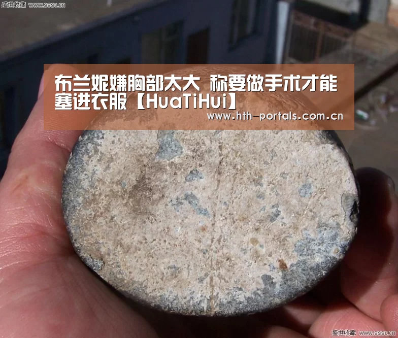 布兰妮嫌胸部太大 称要做手术才能塞进衣服【HuaTiHui】(图2)